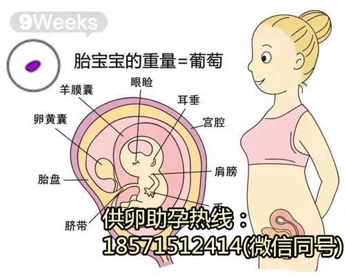 苏州正规代怀孕公司_泰国试管婴儿移植后如何保