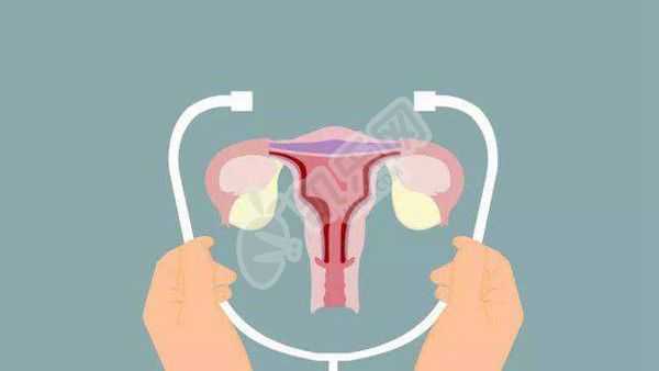 如何去助孕,试管婴儿周期中，为什么不移植新鲜胚胎？