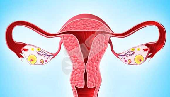 <b>专业国内助孕机构,提供卵巢早衰借卵助孕,哪类患者做辅助生殖更容易成功</b>